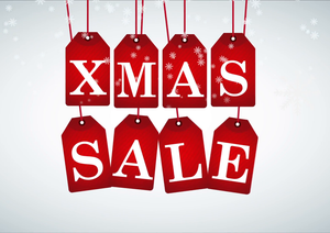 The Christmas Sale is Now On OKdress!