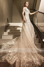 Champagne Tulle Cathedral Train Wedding Dresses with Applique
